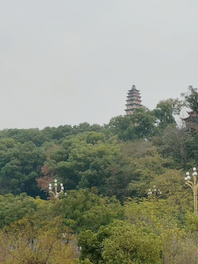 南充市區｜小眾旅遊果然好正！