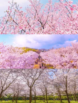 Things to Do in Gucun Park Area in 2025 - Top Attractions, Local  