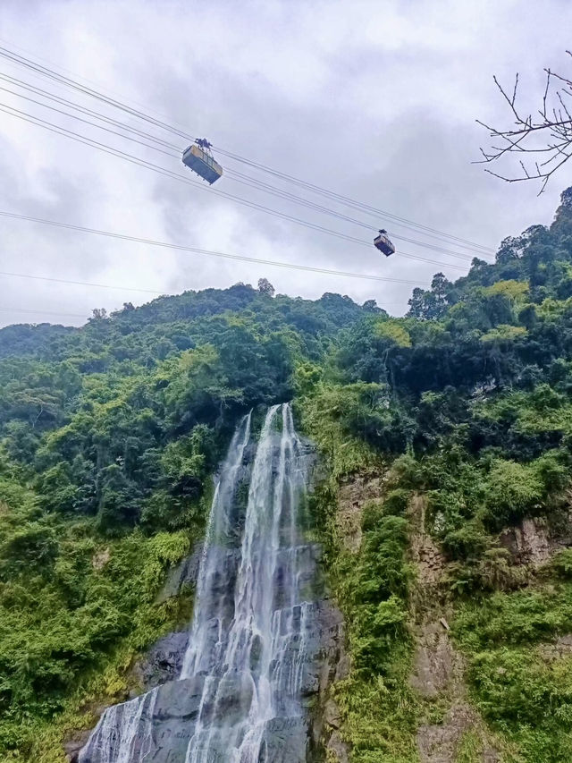 瀑布之韻：在烏來的水聲中聆聽自然