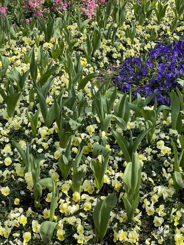 週末好去處｜徐家匯公園