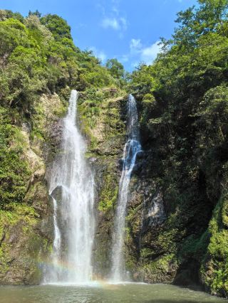 Shaoyang | Huangsan is like a green explosion—this is an undeveloped wonderland!