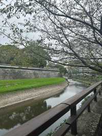 小長假遊日本 看這篇攻略就夠了