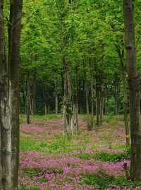 黃石青龍山公園