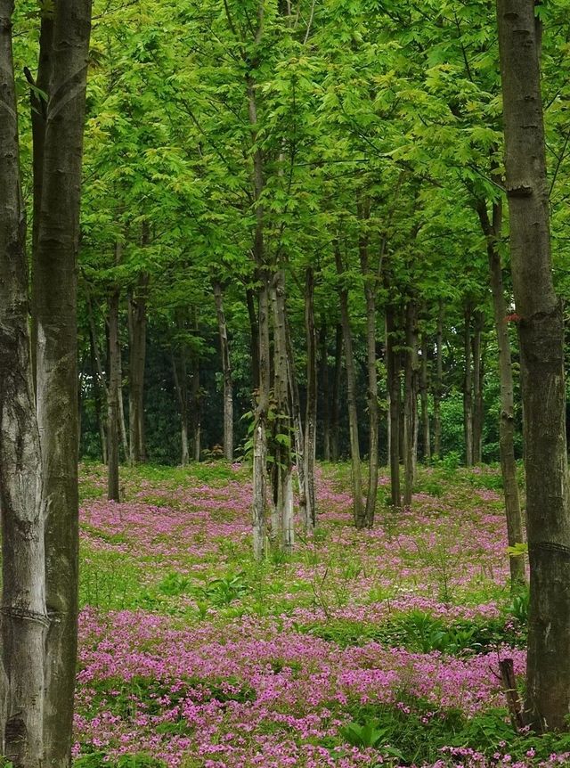 黃石青龍山公園