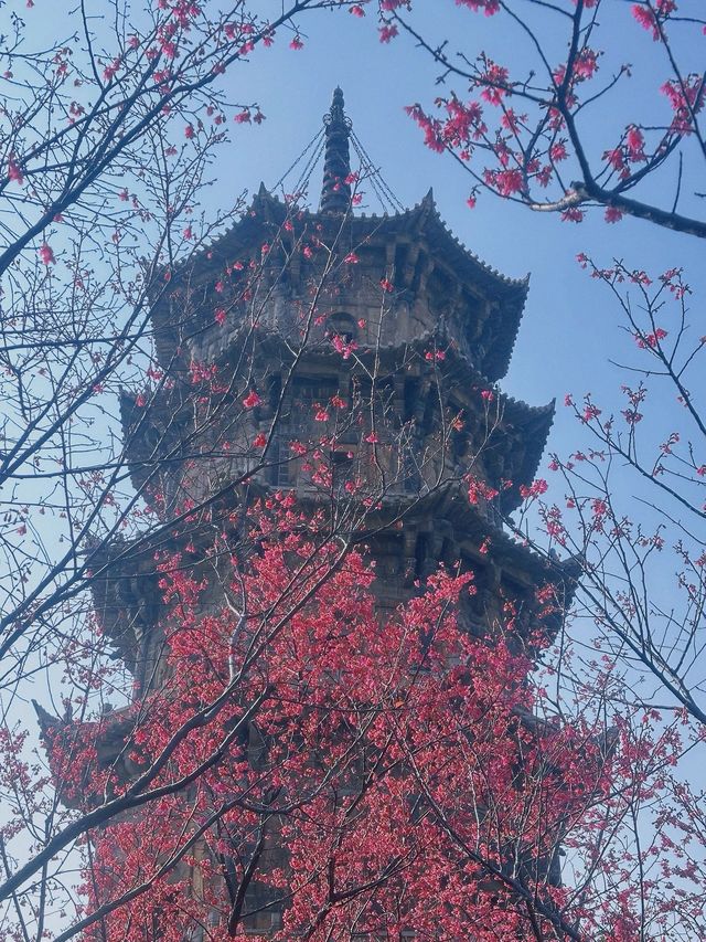 廈門-鼓浪嶼-泉州7日遊 玩轉三地不繞路
