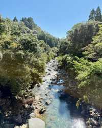 別再只知道京都神社！霧島神宮，藏在鹿兒島的國寶級秘境