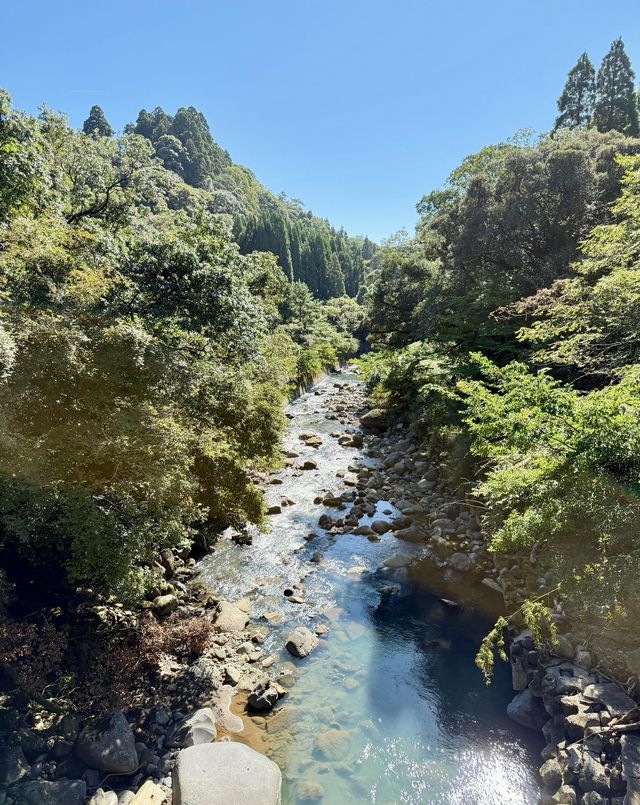 別再只知道京都神社！霧島神宮，藏在鹿兒島的國寶級秘境