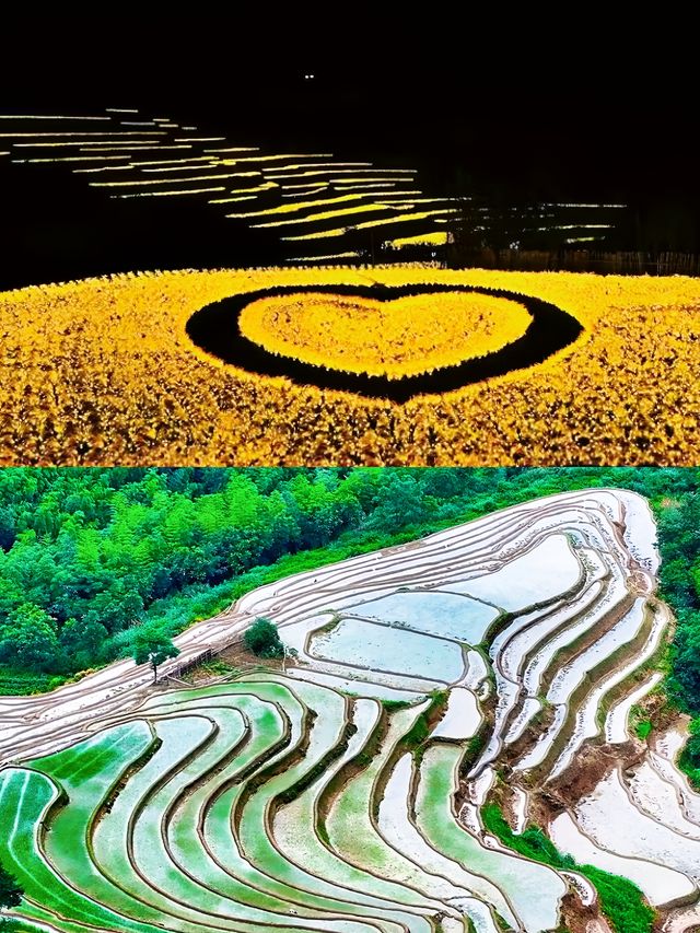詩裡畫裡夢裡，桃源梯田等你