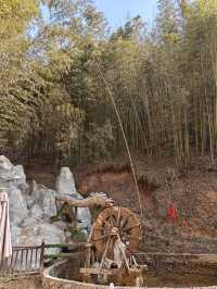 灞橋鯨魚溝竹海風景|原生態景區