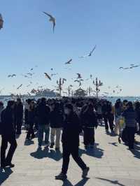 青島沿海一日遊 | 親子暢玩不累指南