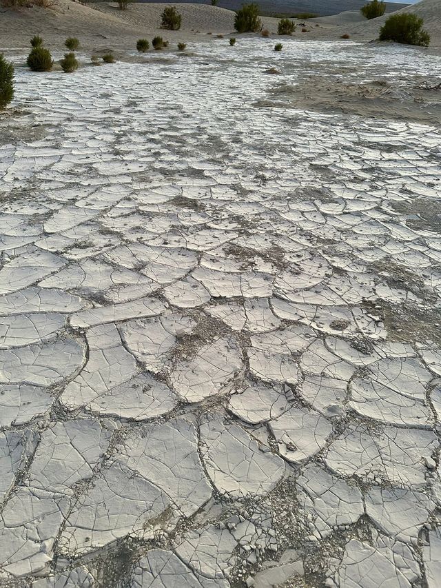 清明季一齊16日逛遍納米比亞等多國風景
