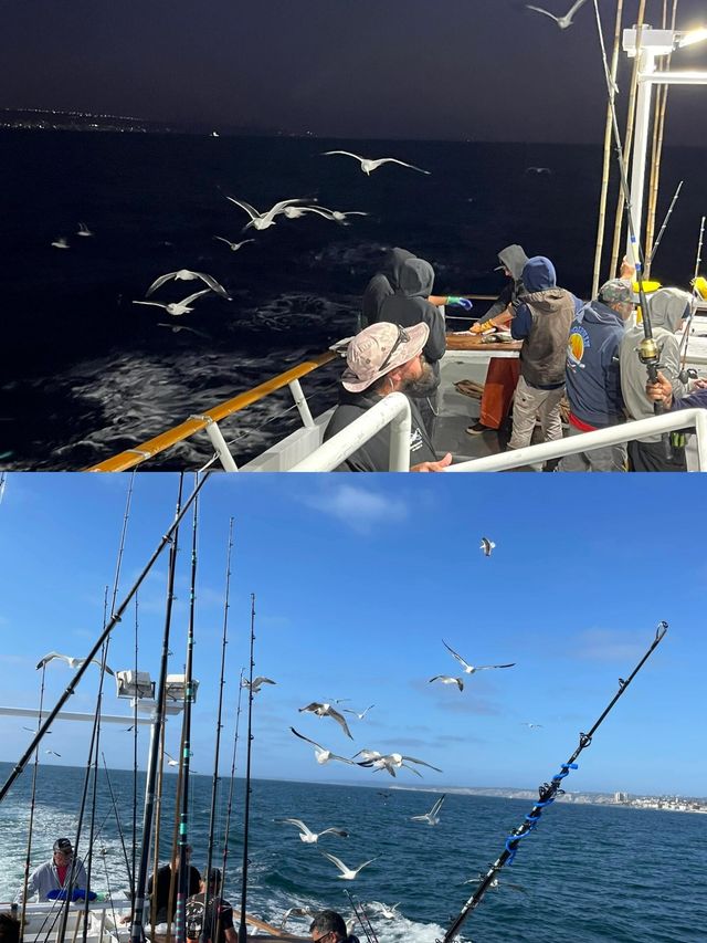 聖地牙哥海釣｜解鎖海釣的極致浪漫