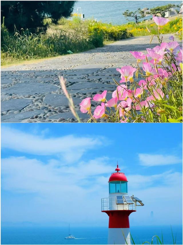 反傳統春遊指南 解說新玩法