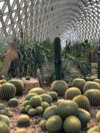 上海辰山植物園 | 賞春踏青攻略