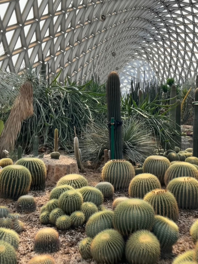 上海辰山植物園 | 賞春踏青攻略