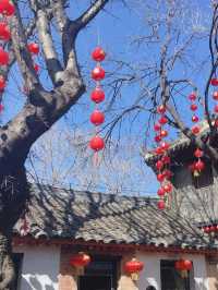 威海慢遊 老年人也能盡享海濱風情