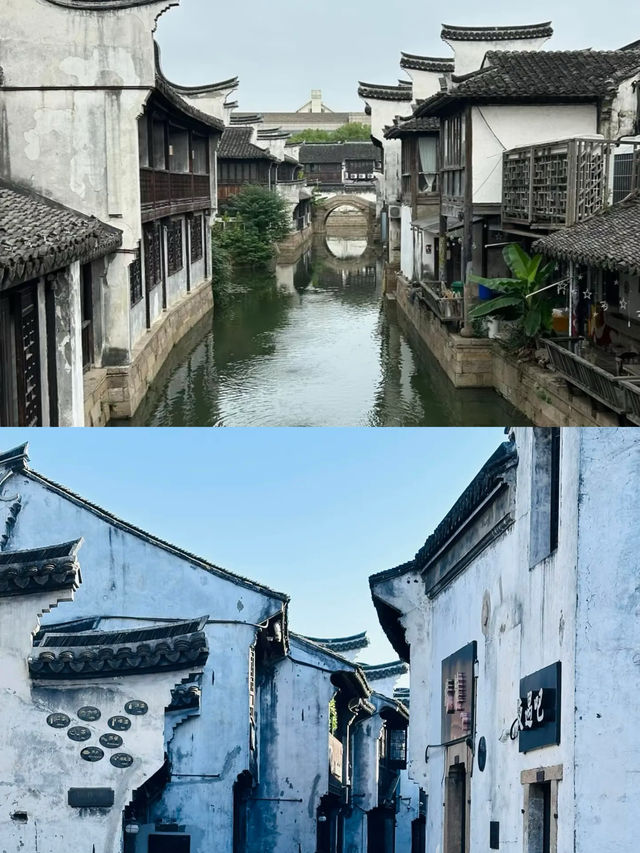 被《國家地理》忽略嘅江南春色，嘉興先至係真正嘅絕色