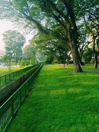 探索大阪的堺市大仙公園