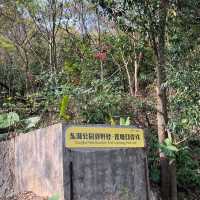 🚶‍♂️【羅湖新玩法！東湖公園郊野徑】  
