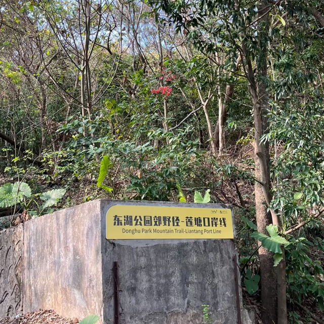🚶‍♂️【羅湖新玩法！東湖公園郊野徑】  
