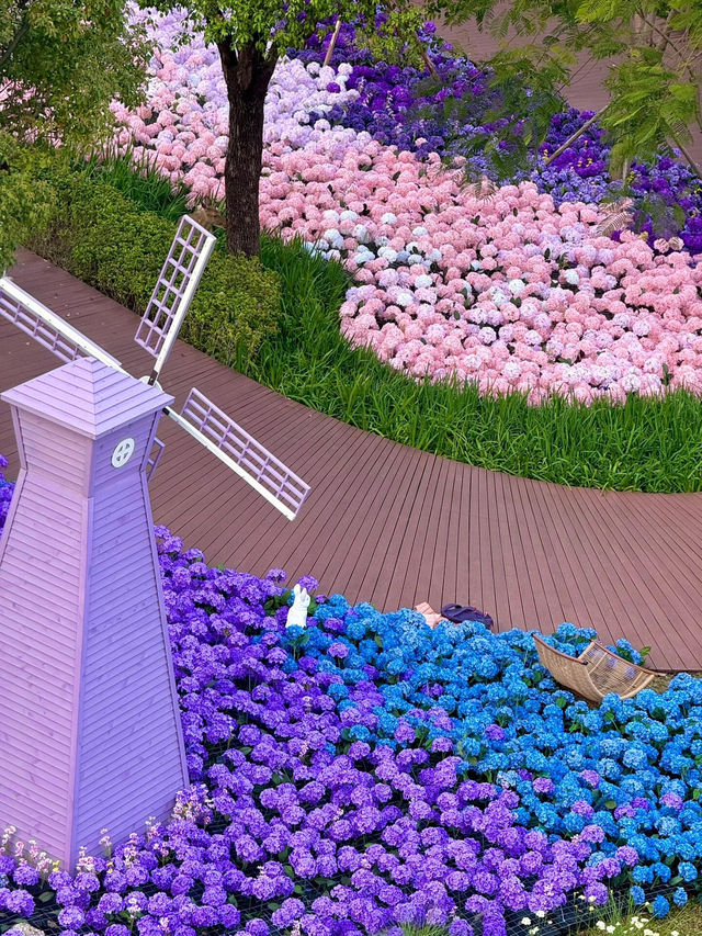 🌷珠海新貌 | 治愈系花海棧道，美翻啦🌸