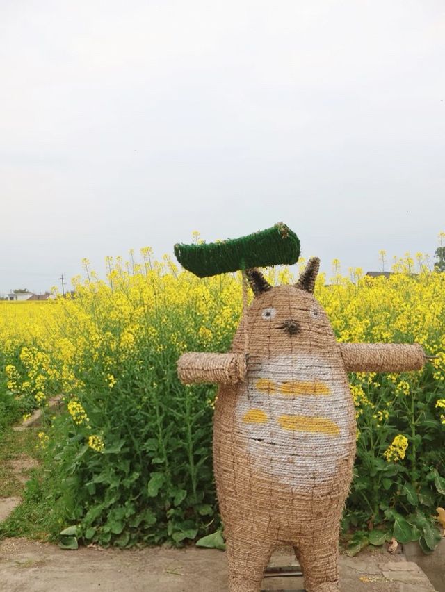 【4月限定】德陽最美油菜花地圖，快收藏！