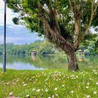 深圳仙湖植物園，陷入大自然的Love