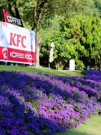 【雲台花園開箱日記｜十蚊港紙帶我入夢境，啲花靚到好唔真實】