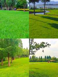 昆明寶豐濕地公園：滇池之畔的生態畫卷