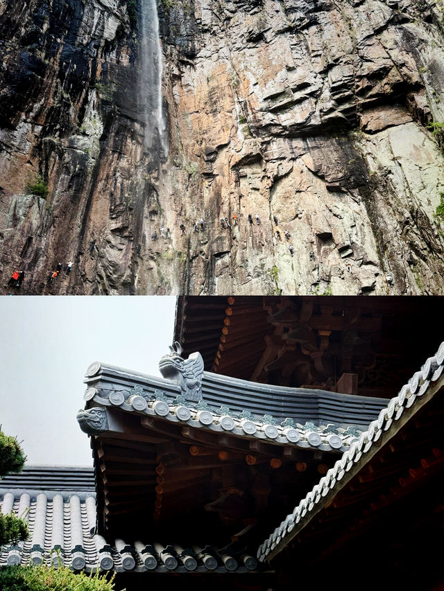 三月總要來一趟江浙滬，感受春和景明