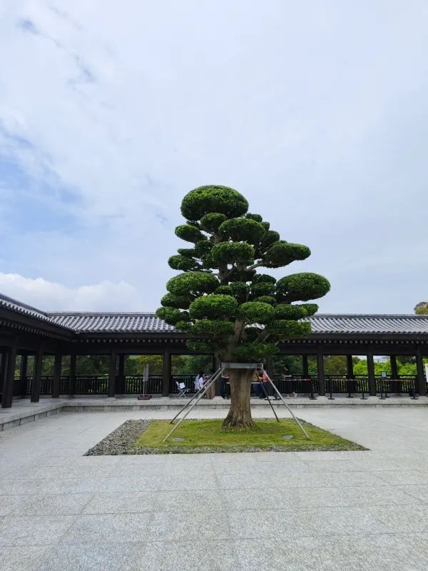 佛誕日在慈山寺：一場心靈的洗滌