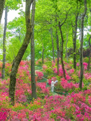 저는 정말 어떤 장소를 "충격적"이라고 표현하는 경우가 드물어요