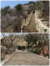 絕壁懸寺！北嶽恆山暴走修仙攻略