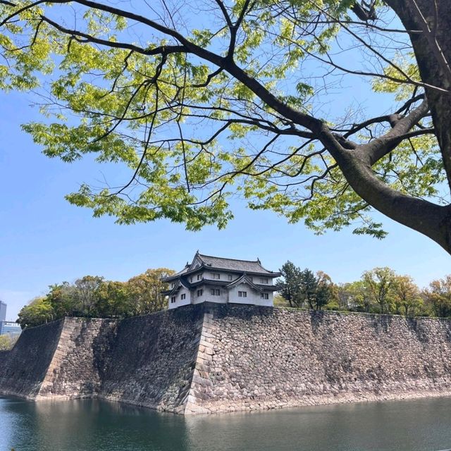 大阪城🌸櫻花和天守閣的適配度100%‼️