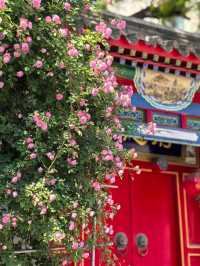 4.28實拍︱壽比胡同嘅玫瑰花上線啦