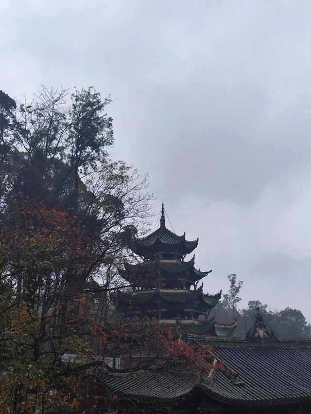 巴渝大地驚現千年瑰寶，究竟藏着什麼奧秘？