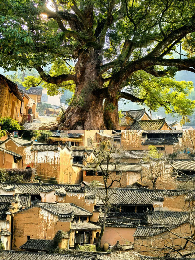 一個人的五一漫遊：在松陽的千年古村，與時光溫柔對坐