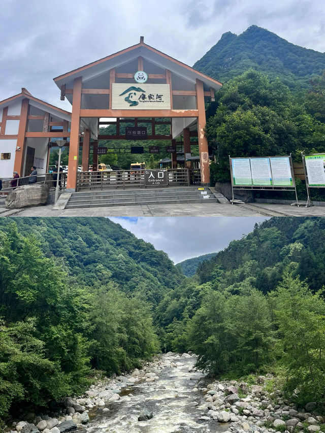 唐家河