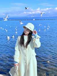 蒼山下，洱海邊