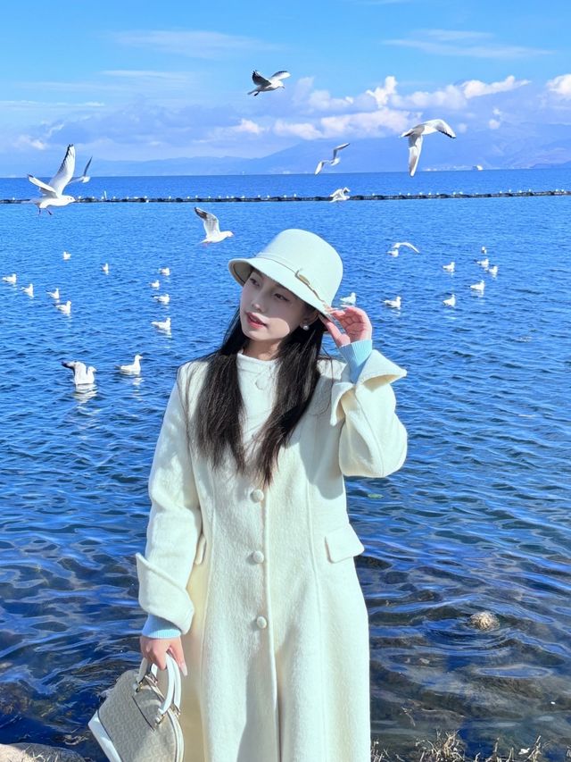 蒼山下，洱海邊