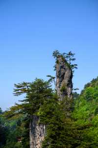 誰懂現在的光霧山，真的太舒服了～