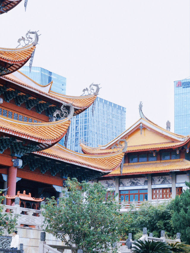 闹市中的古刹！福州西禪寺一日遊攻略