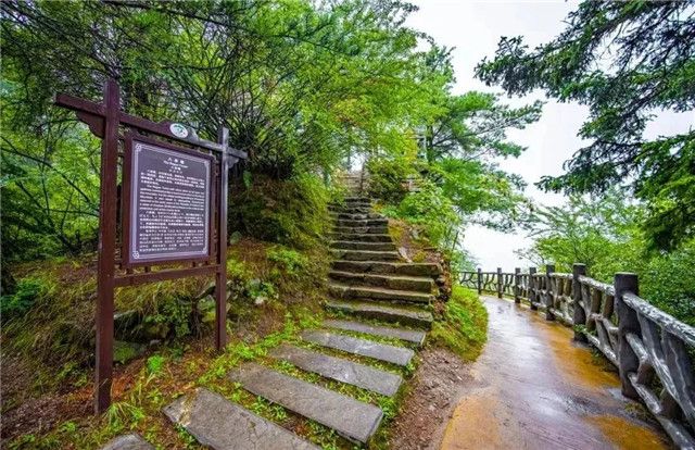 五月，到定西赴一場「綠野仙蹤」之約吧！