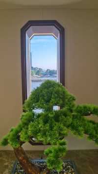 福州上下杭！古厝與非遺的浪漫邂逅