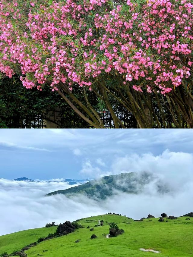 隱藏喺來賓小眾中嘅驚喜