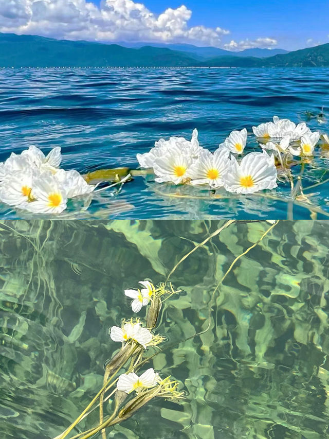 瀘沽湖｜闖入摩梭秘境，48小時慢生活指南