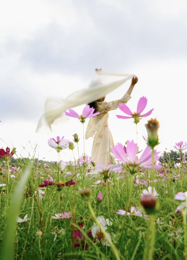 瓊海花海｜闖入花海秘境！