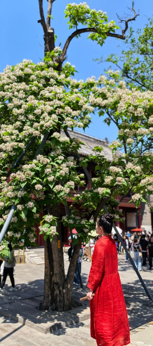 北京之旅