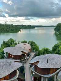 Best Singapor Mandai Rainforest Resort by Banyan Tree 🥰