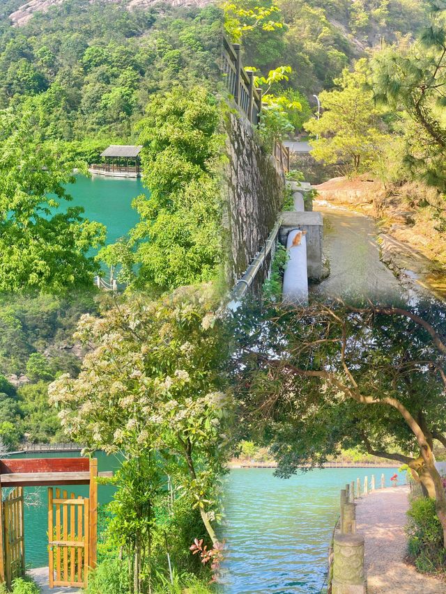 溫州大羅山瑤溪
